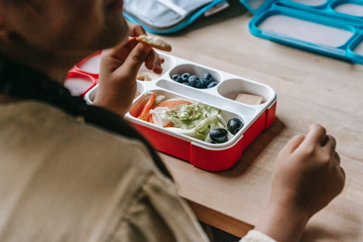 Healthy kids lunch in a bento box