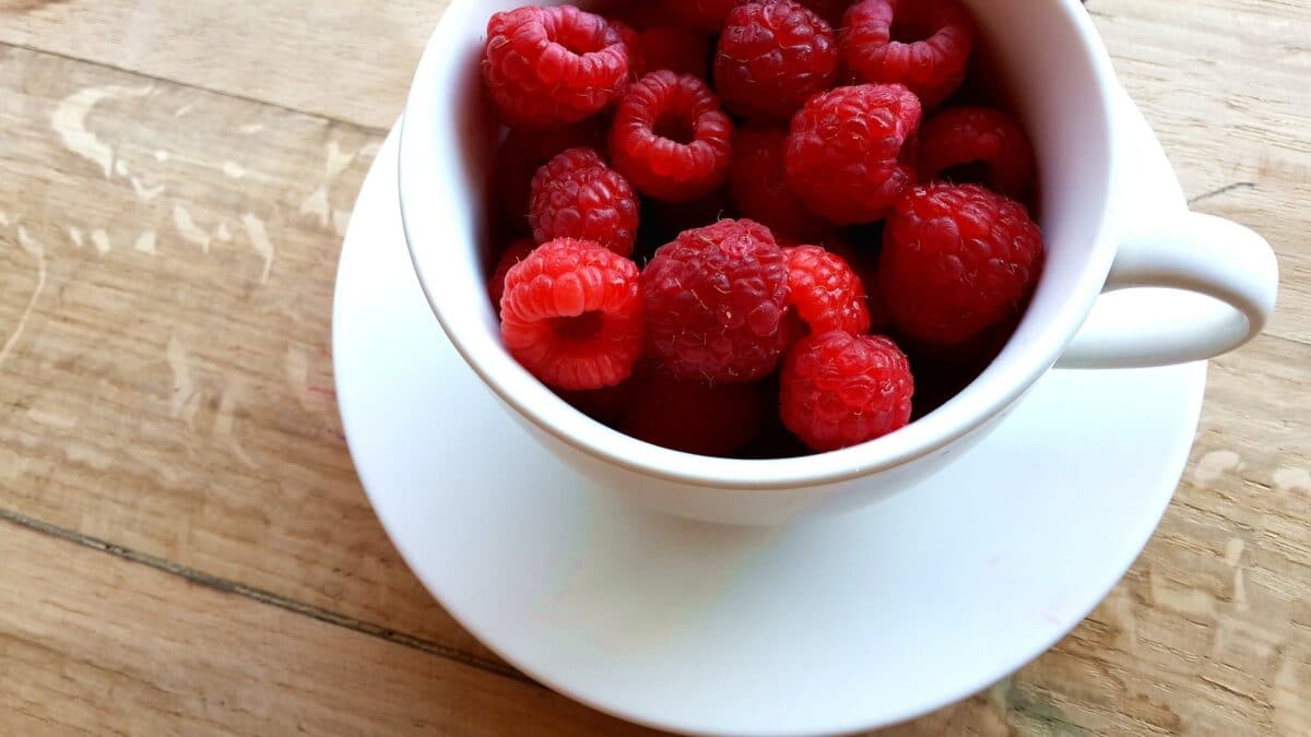 Bright red raspberries in a white teacup on top of a white saucer